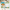 scrolling text